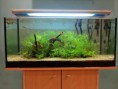/album/gli-acquari-dei-nostri-clienti/acquario-parr-massimo-jpg/
